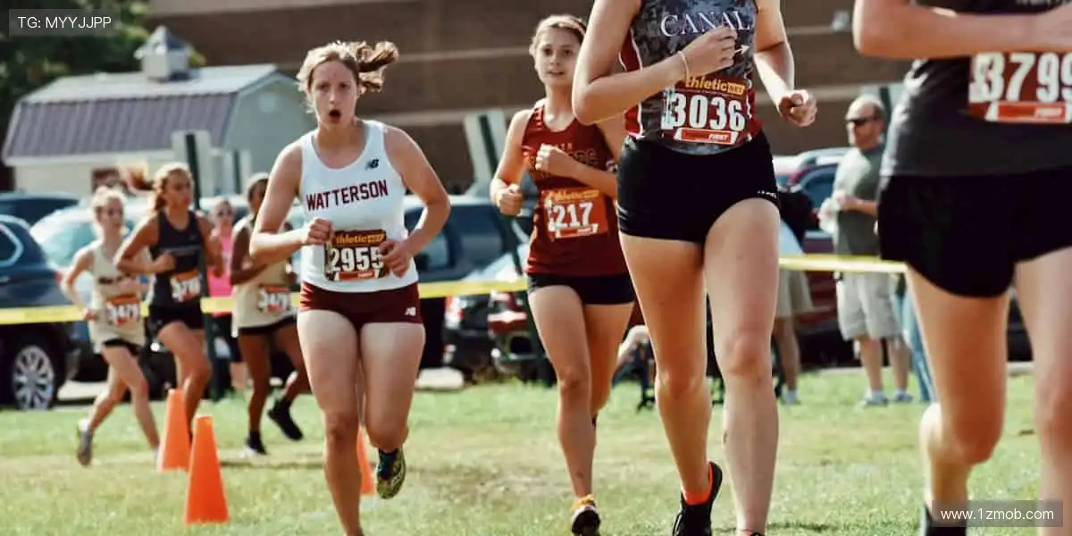 ⚡ 快节奏开发,为你呈现最前沿的游戏盛宴!